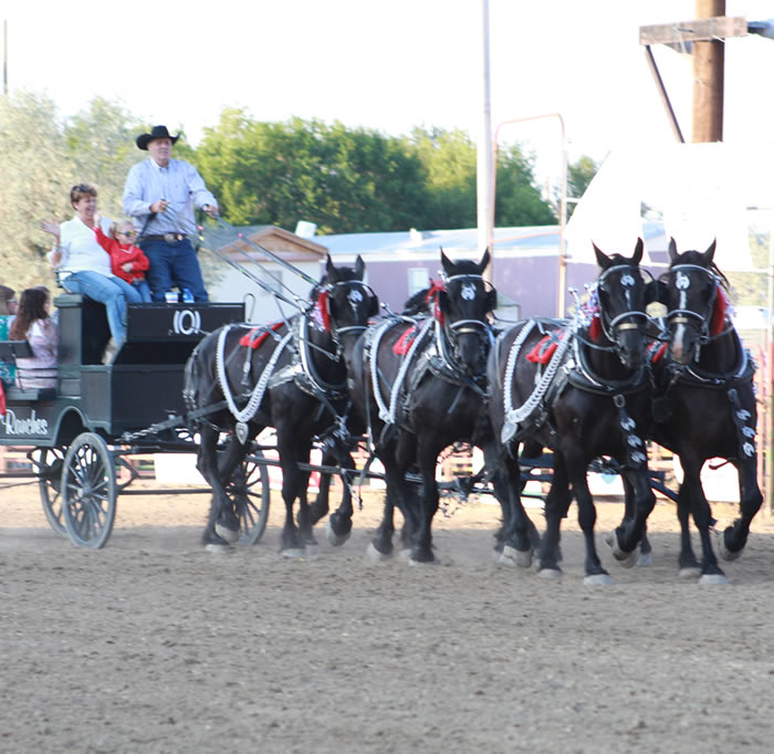 Carbon County Fair 2024 Rawlins Wy Mala Leoine