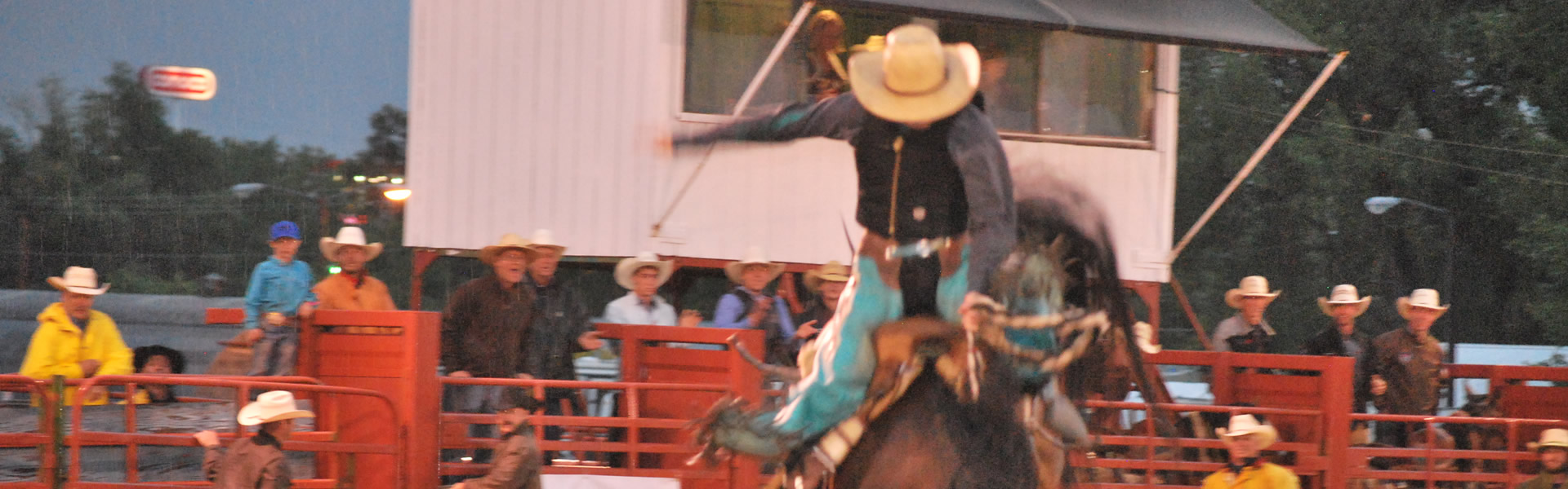 Carbon County Wy Fair 2024 Jobey Lyndsie