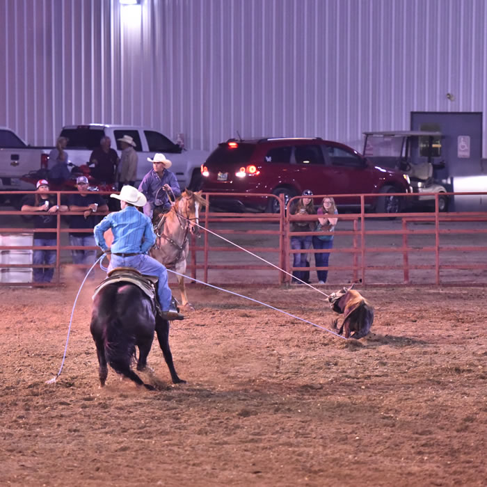 Carbon County Dog Trials